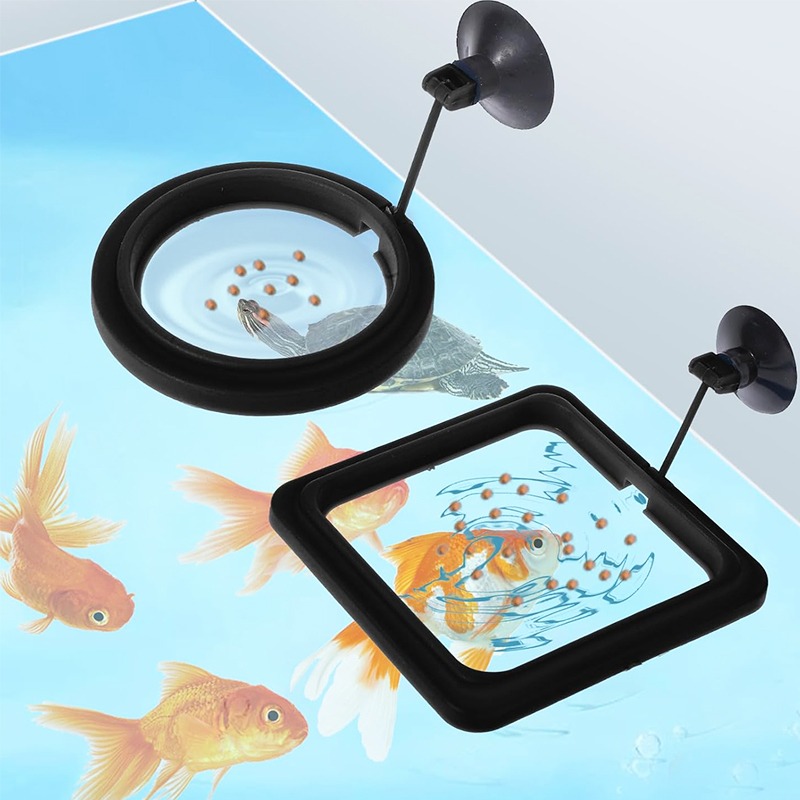 Aquarium Fish Medicine - Aquarium Fish Tank Feeding Ring Station