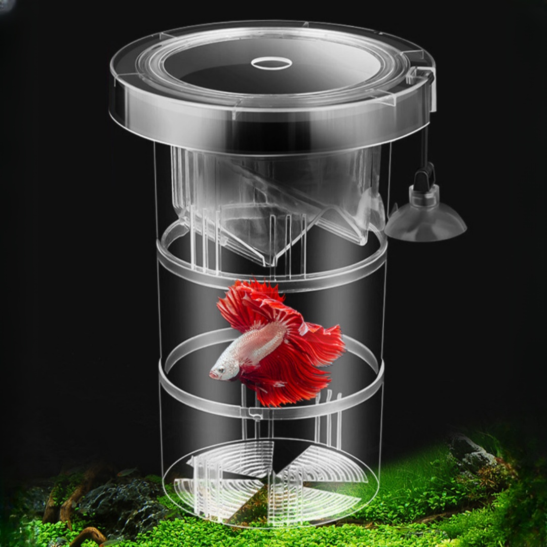 Aquarium Fish Marine - Acrylic Floating Fish Breeding Isolation Box