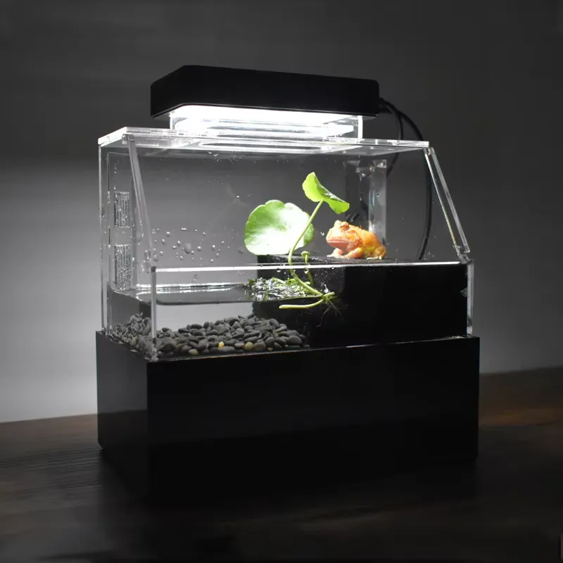 Aquarium Fish For Sale - Relaxlines Custom Desktop Aquarium Mini Luxury