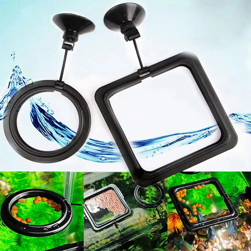 Aquarium Fish Medicine - Aquarium Feeding Ring Fish Tank Station