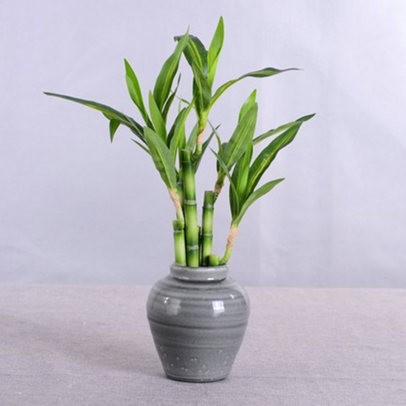 New 40cm Artificial Lucky Bamb - огляд і ціна Aquarium Fish Pot
