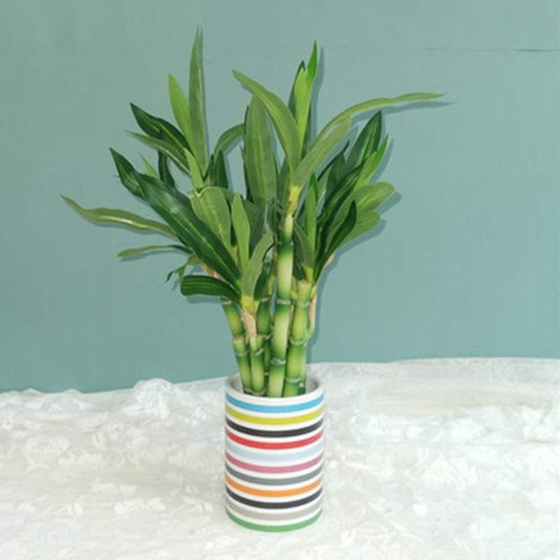 New 40cm Artificial Lucky Bamb - огляд і ціна Aquarium Fish Pot