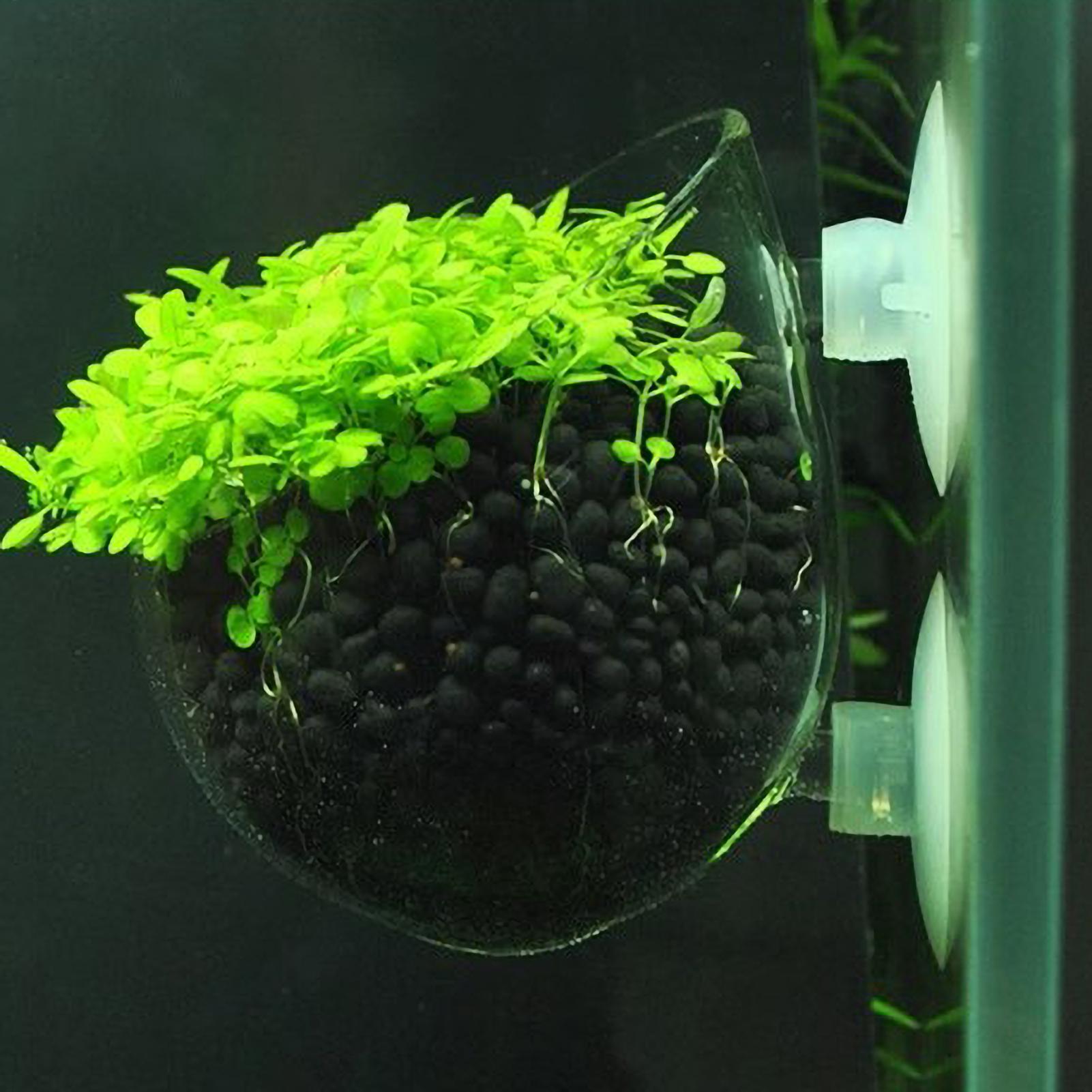 Aquarium Plant Holder Glass Aq - огляд і ціна Aquarium Fish Pot