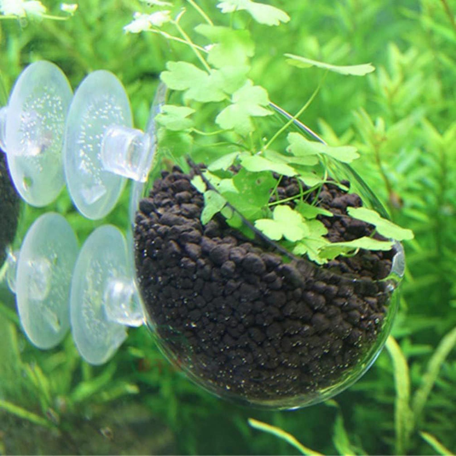 Aquarium Plant Holder Glass Aq - огляд і ціна Aquarium Fish Pot