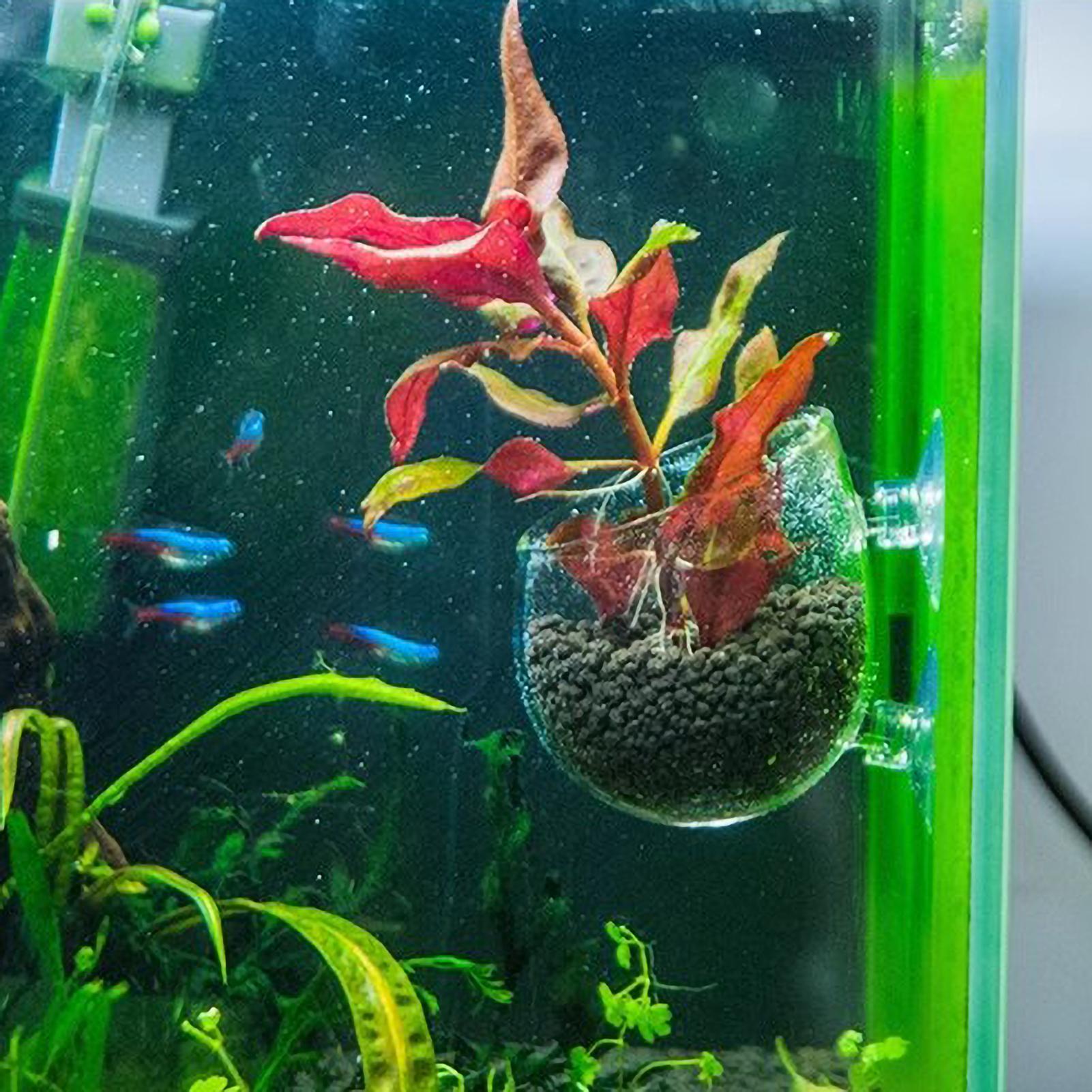 Aquarium Plant Holder Glass Aq - огляд і ціна Aquarium Fish Pot