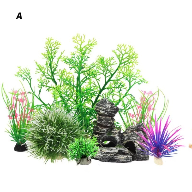 10pcs Hot Selling New Arrival  - огляд і ціна Aquarium Fish For Sale