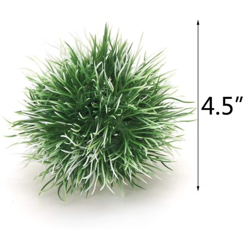 10pcs Hot Selling New Arrival  - огляд і ціна Aquarium Fish For Sale