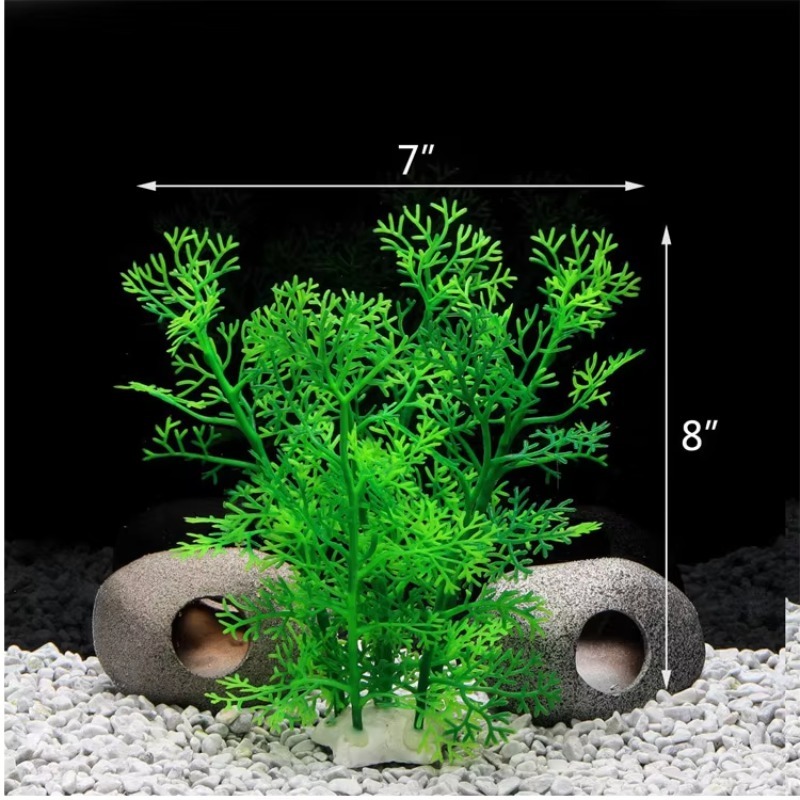 10pcs Hot Selling New Arrival  - огляд і ціна Aquarium Fish For Sale