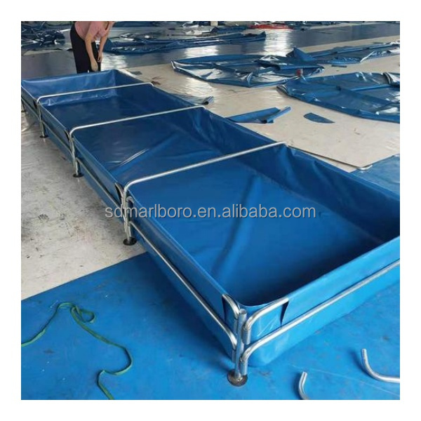 AIROW Custom Commercial High Q - огляд і ціна Aquarium Fish For Sale