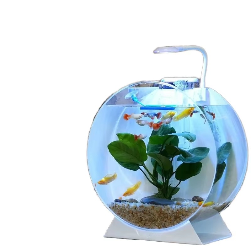 Hot Sale Modern Eco-Friendly A - огляд і ціна Aquarium Fish For Sale
