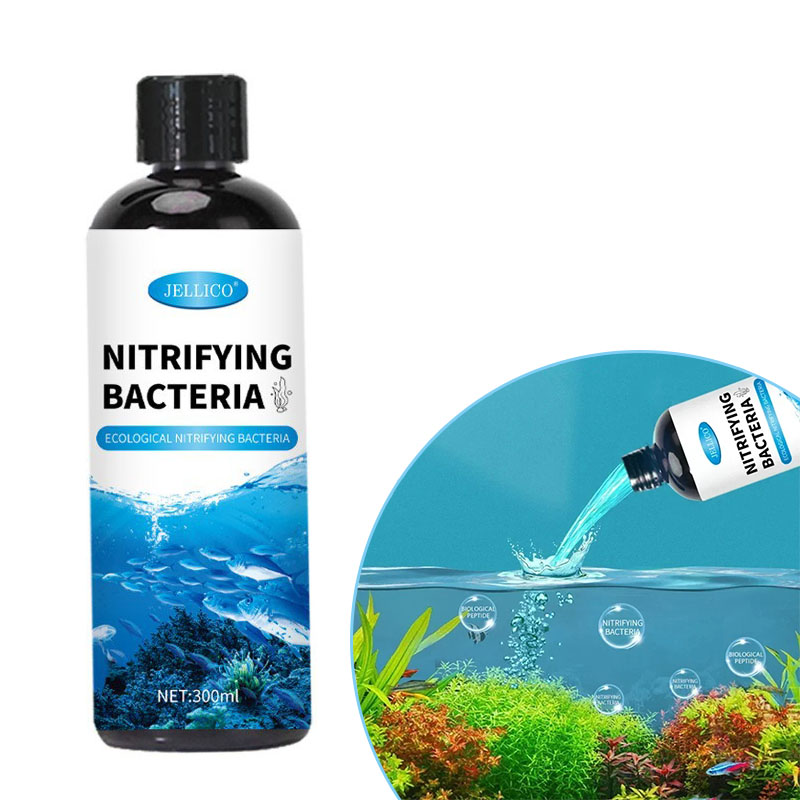Nitrifying Bacteria Liquid Fis - огляд і ціна Aquarium Fish Medicine