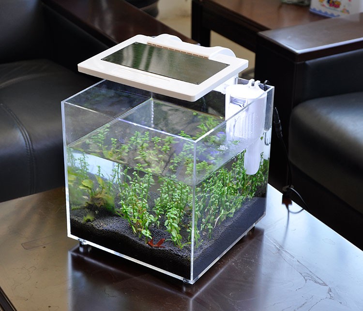 Mini Acrylic (25*25*25cm) Sale - огляд і ціна Aquarium Fish For Sale