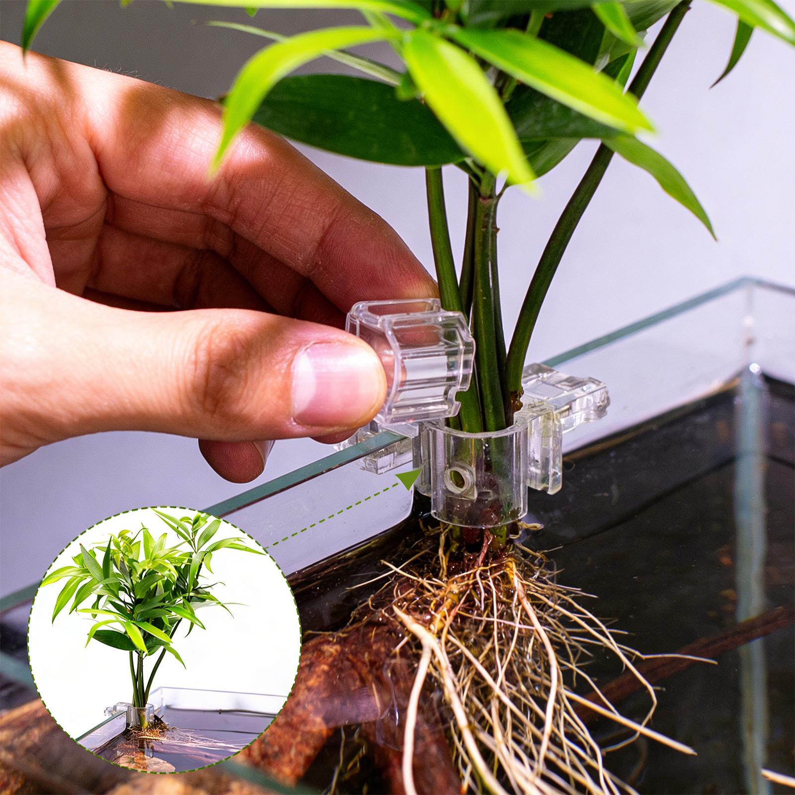 Aquarium Plant Basket Transpar - огляд і ціна Aquarium Fish Pot