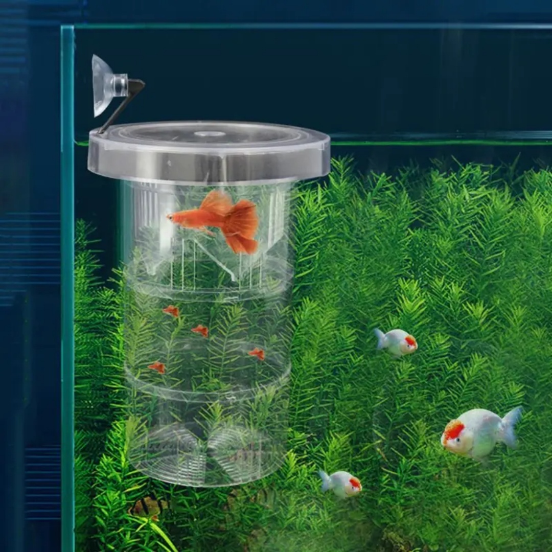 Acrylic Floating Fish Breeding - огляд і ціна Aquarium Fish Marine