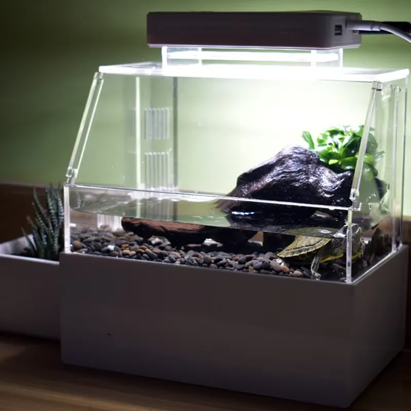 Relaxlines Custom Desktop Aqua - огляд і ціна Aquarium Fish For Sale