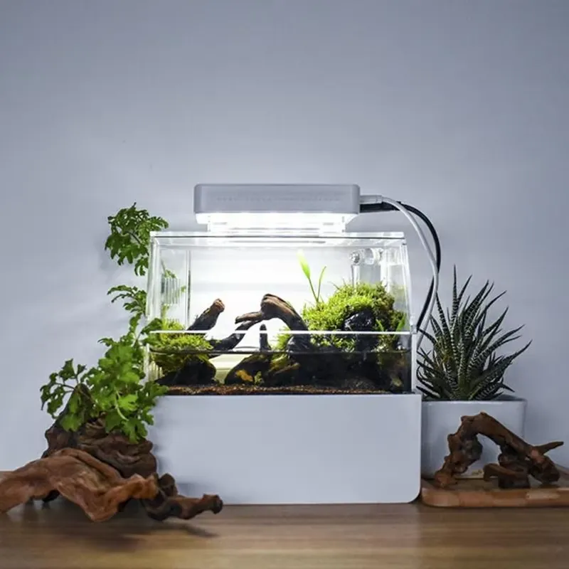 Relaxlines Custom Desktop Aqua - огляд і ціна Aquarium Fish For Sale