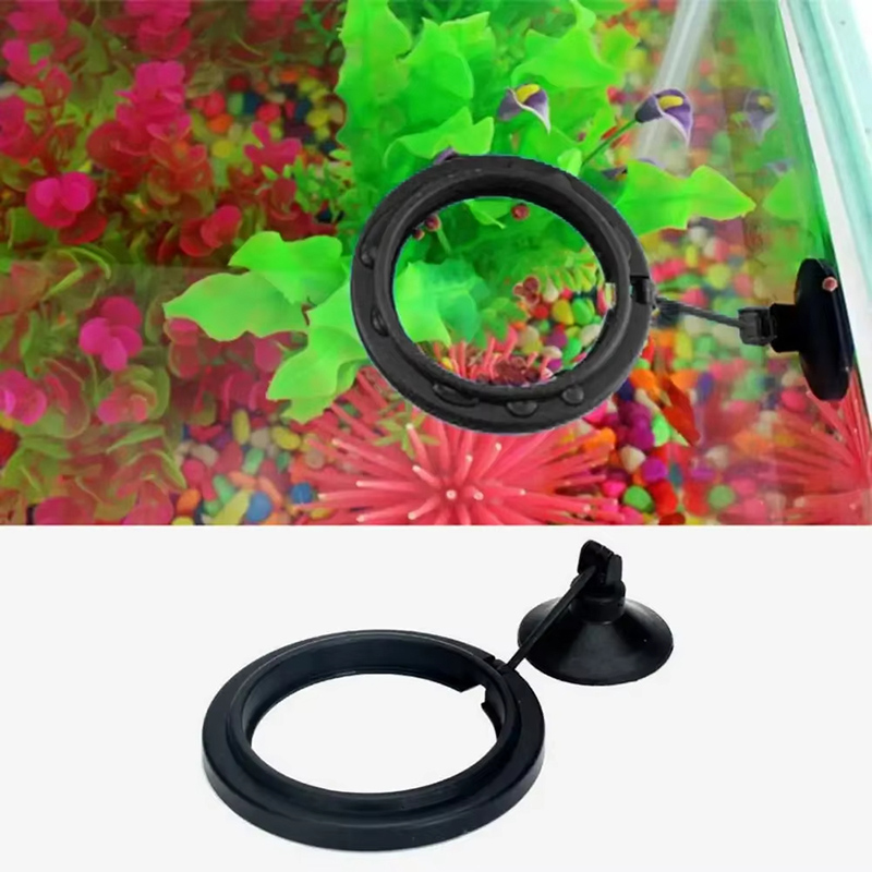 Aquarium Feeding Ring Fish Tan - огляд і ціна Aquarium Fish Medicine