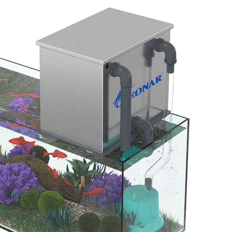 Factory Direct Sales Aquarium  - огляд і ціна Aquarium Fish For Sale