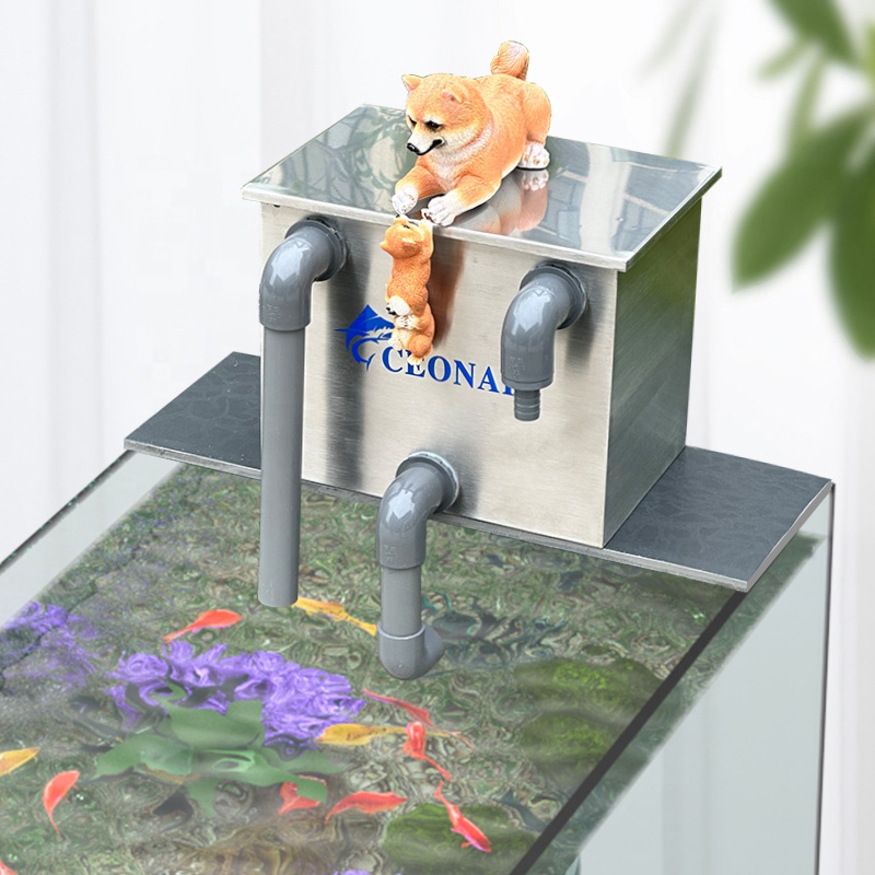 Factory Direct Sales Aquarium  - огляд і ціна Aquarium Fish For Sale