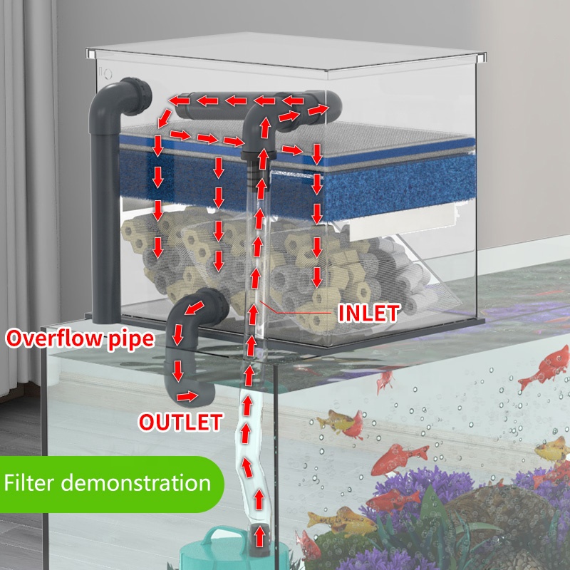 Factory Direct Sales Aquarium  - огляд і ціна Aquarium Fish For Sale