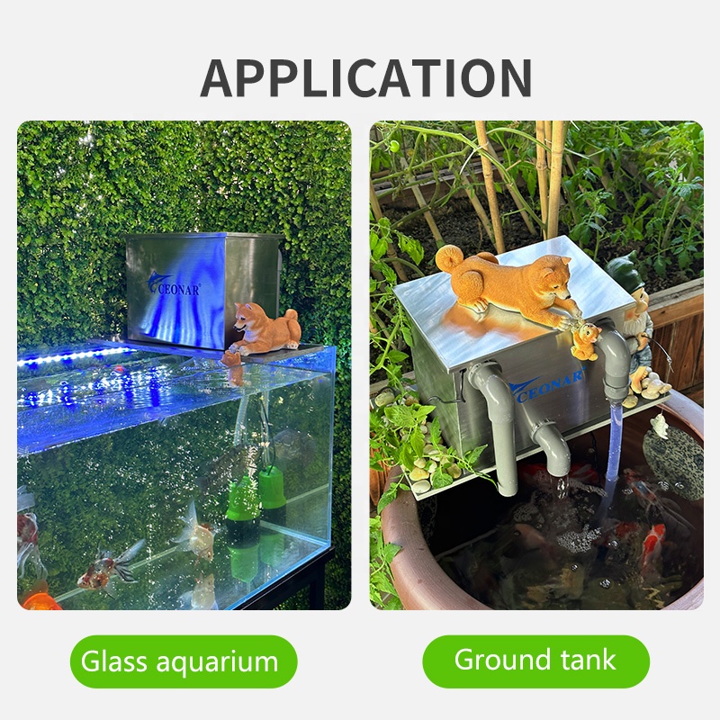 Factory Direct Sales Aquarium  - огляд і ціна Aquarium Fish For Sale